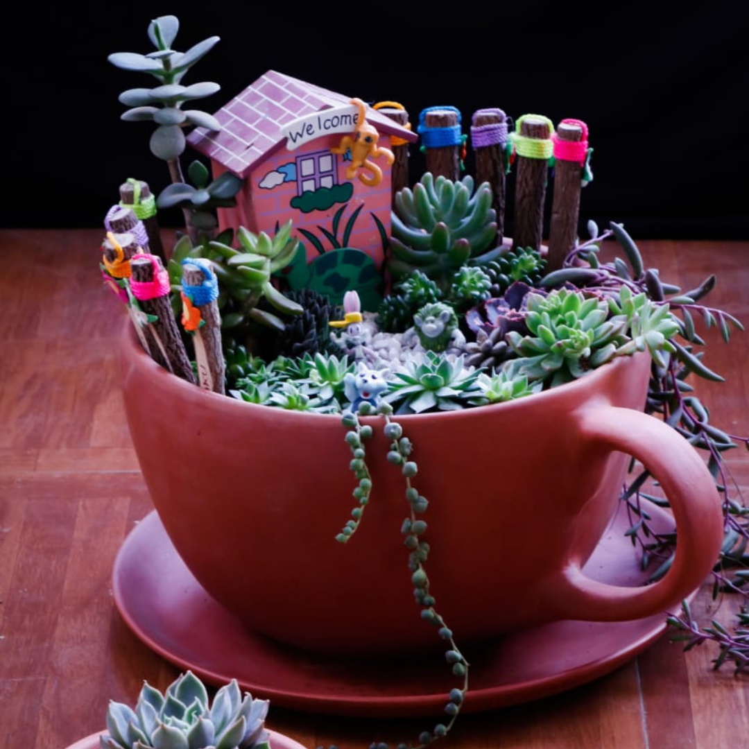 Giant Terracotta Cup Saucer Planter